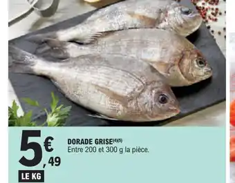 E.Leclerc DORADE GRISE offre