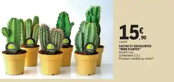 E.Leclerc CACTUS ET SUCCULENTES MIDO PLANTES offre