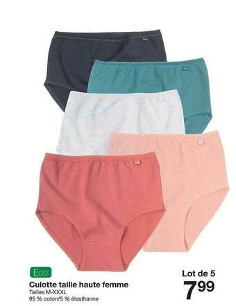 Culotte Taille Haute Femme
