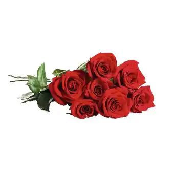Auchan Bouquet De 7 Roses Très Gros Boutons offre