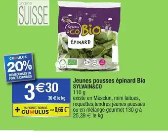 Jeunes pousses épinard Bio