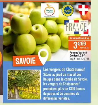 Pomme Variété Golden I.G.P