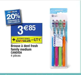 Brosse a Dent Fresh Family Medium Candida