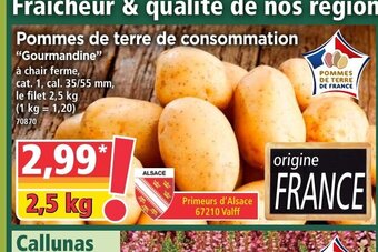 Norma Pommes De Terre De Consommation offre