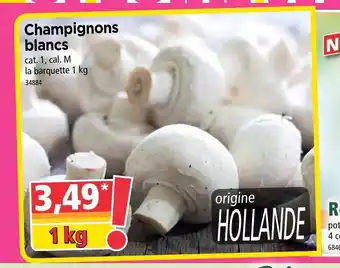 Norma Champignons Blancs offre