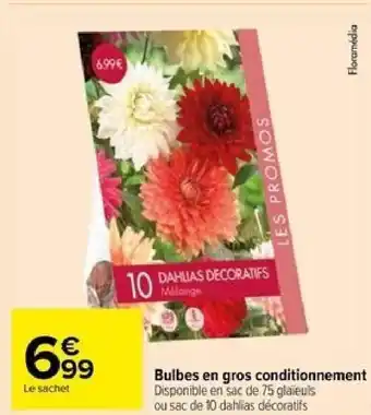 Carrefour Bulbes en gros conditionnement offre