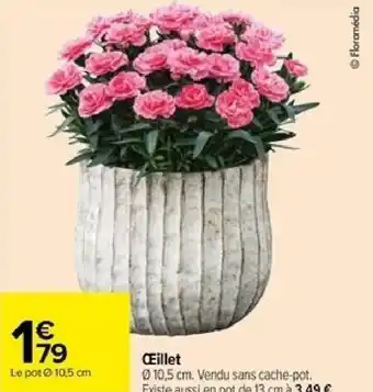 Carrefour Œillet offre