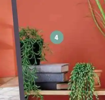 Super U FOIRE A LA PLANTE ARTIFICIELLE offre