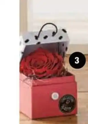 Super U ROSE ETERNELLE offre