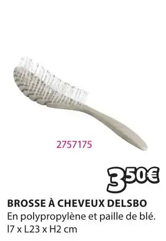 BROSSE À CHEVEUX DELSBO En polypropylène et paille de blé. 17 x L23 x H2 cm
