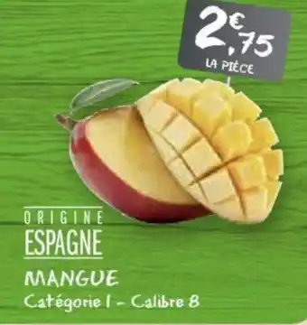 G20 MANGUE Catégorie I-Calibre 8 offre
