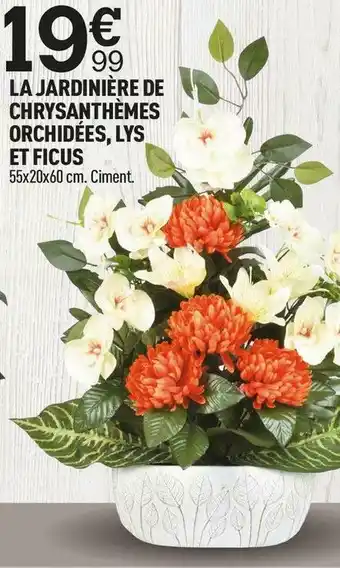 Centrakor La jardinière de chrysanthèmes orchidées, lys et ficus offre