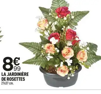 Centrakor La jardinière de rosettes offre