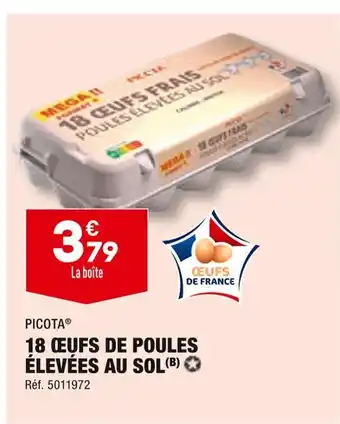 ALDI PICOTA 18 ŒUFS DE POULES ÉLEVÉES AU SOL offre