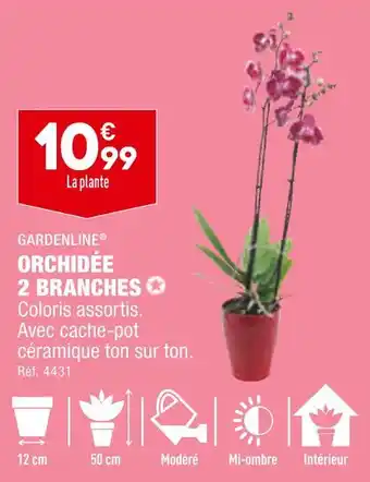 ALDI GARDENLINE ORCHIDÉE 2 BRANCHES offre
