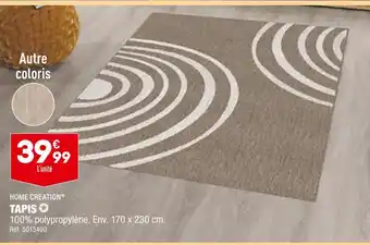ALDI HOME CREATION TAPIS offre