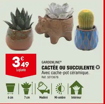 ALDI GARDENLINE CACTÉE OU SUCCULENTE offre