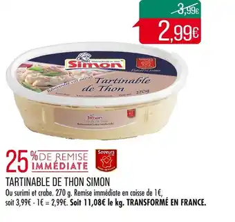 Match SIMON TARTINABLE DE THON offre