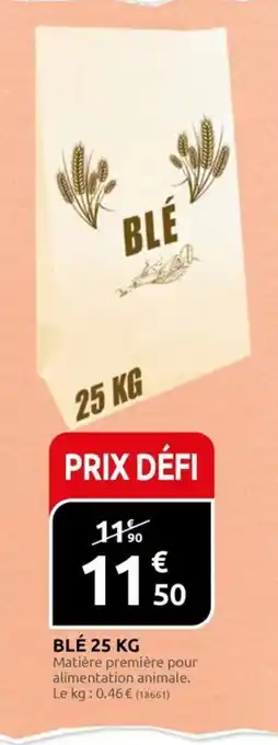 Rural Master BLÉ 25 KG offre