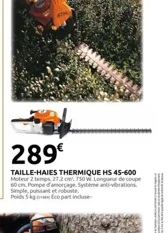 Rural Master TAILLE-HAIES THERMIQUE HS 45-600 offre