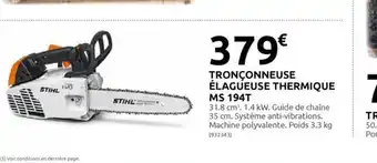 Rural Master TRONÇONNEUSE ÉLAGUEUSE THERMIQUE MS 194T offre