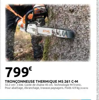 Rural Master TRONÇONNEUSE THERMIQUE MS 261 C-M offre