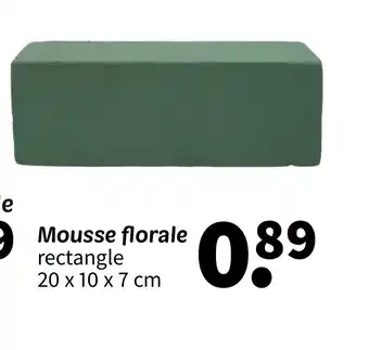 Wibra Mousse florale offre