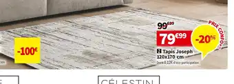 TAPIS JOSEPH