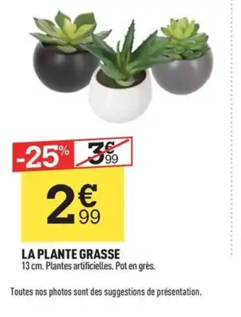 Centrakor LA PLANTE GRASSE offre