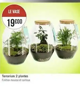 Terrarium 2 Plates