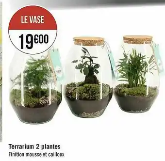Terrarium 2 Plates