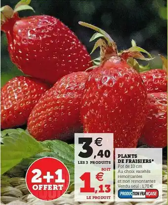 Hyper U Plants De Fraisiers offre