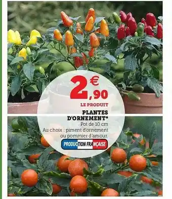 Hyper U Plantes D'ornement offre