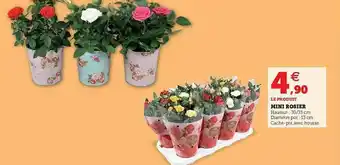 Hyper U Mini Rosier offre