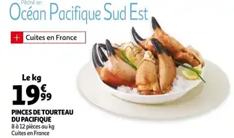 Pinces de tourteau du pacifique