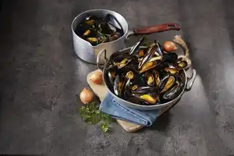 MOULES DE CORDE ESPAGNE