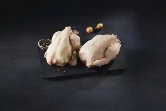 COQUELET
