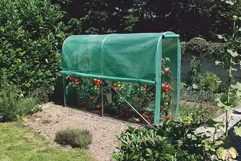 Habillage pour serre tunnel à tomates 3m² Tomato Greenhouse
