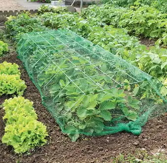 Bricorama Structure tunnel en métal Nursy Métal XL 0.90x1x0.30m offre
