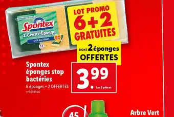 Lidl Spontex éponges stop bactéries offre
