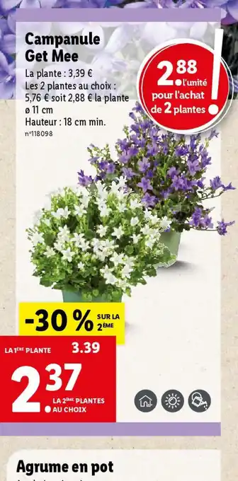 Lidl Campanule Get Mee offre