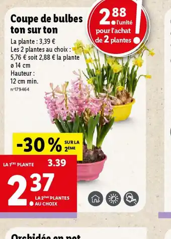 Lidl Coupe de bulbes ton sur ton offre