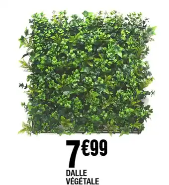 La Foir'Fouille DALLE VÉGÉTALE offre