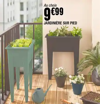 La Foir'Fouille JARDINIÈRE SUR PIED offre