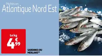 Auchan SARDINES OU MERLANS(¹) offre