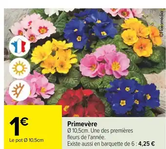 Carrefour Primevère offre