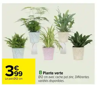 Carrefour i Plante verte offre