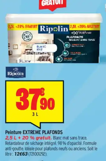 Peinture Extreme Plafonds