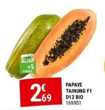 Gamm vert PAPAYE TAINUNG F1 D12 BIO offre