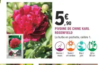 E.Leclerc Jardi PIVOINE DE CHINE KARL ROSENFIELD offre